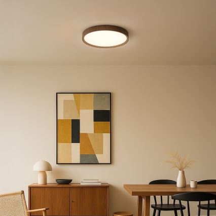 LED-plafondlamp FOREST LED/24W/230V, Ø 39 cm, bruin