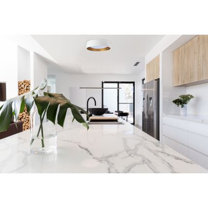 LED plafondlamp GALAXY LED/24W/230V Ø 44 cm wit/goud