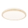 LED Plafondlamp GANDAVA LED / 18W / 230V