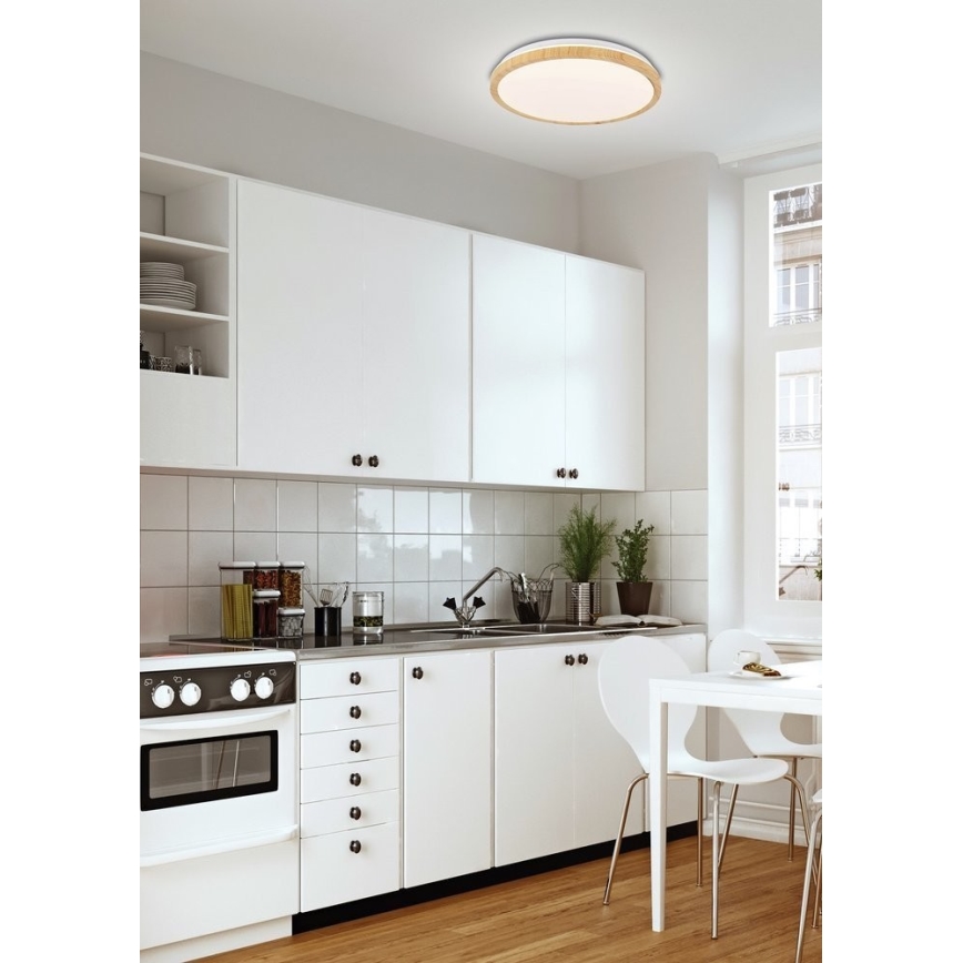 LED Plafondlamp GANDAVA LED / 24W / 230V