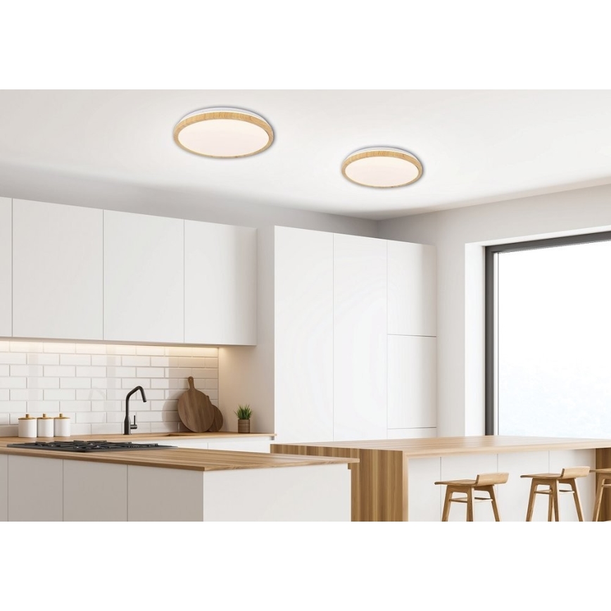 LED Plafondlamp GANDAVA LED / 24W / 230V