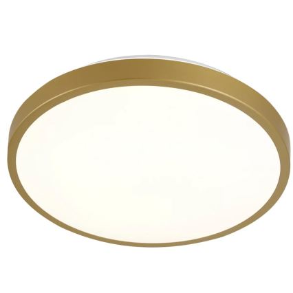 LED Plafondlamp KERN LED/15W/230V d. 29 cm