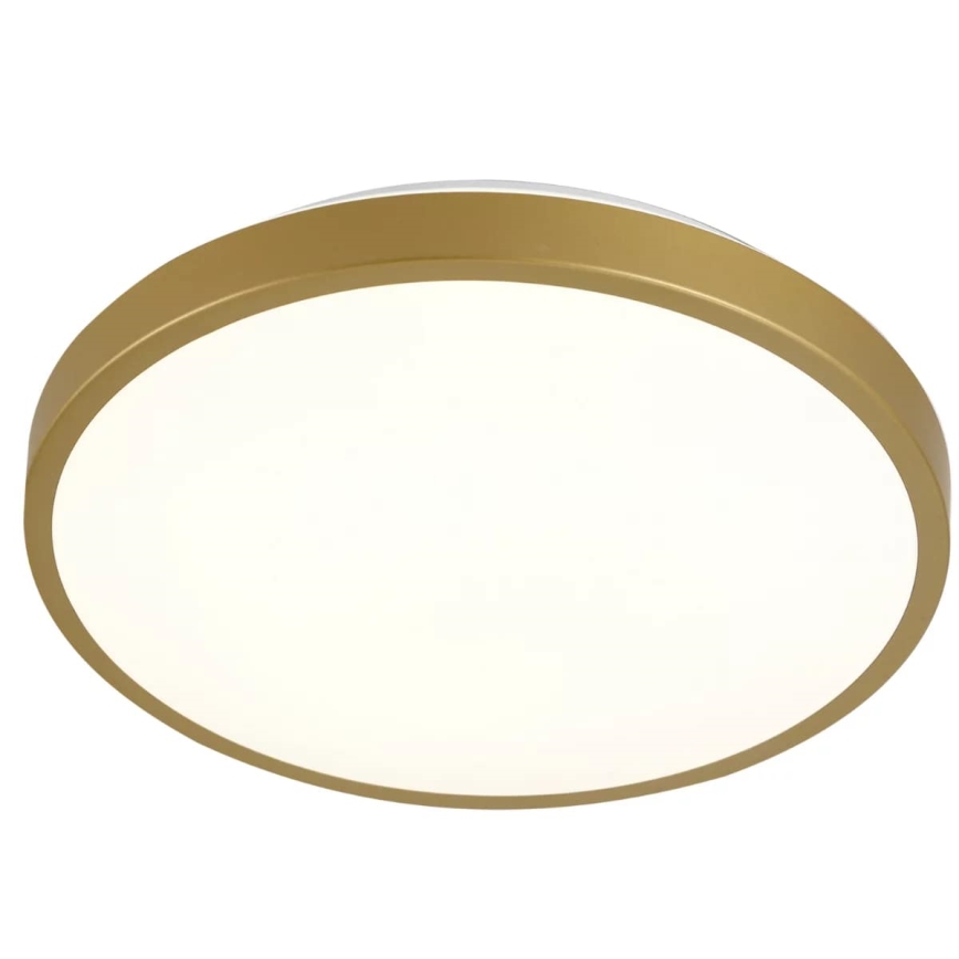 LED Plafondlamp KERN LED/15W/230V d. 29 cm