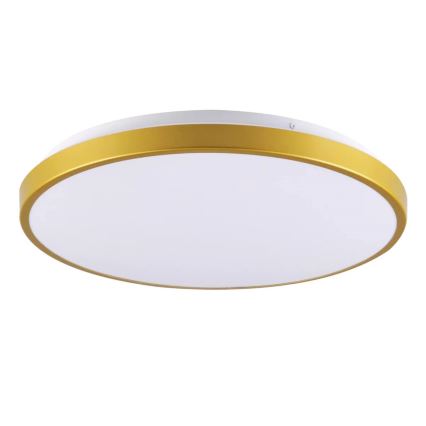LED Plafondlamp KERN LED/15W/230V d. 29 cm