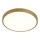 LED Plafondlamp KERN LED/24W/230V d. 39 cm