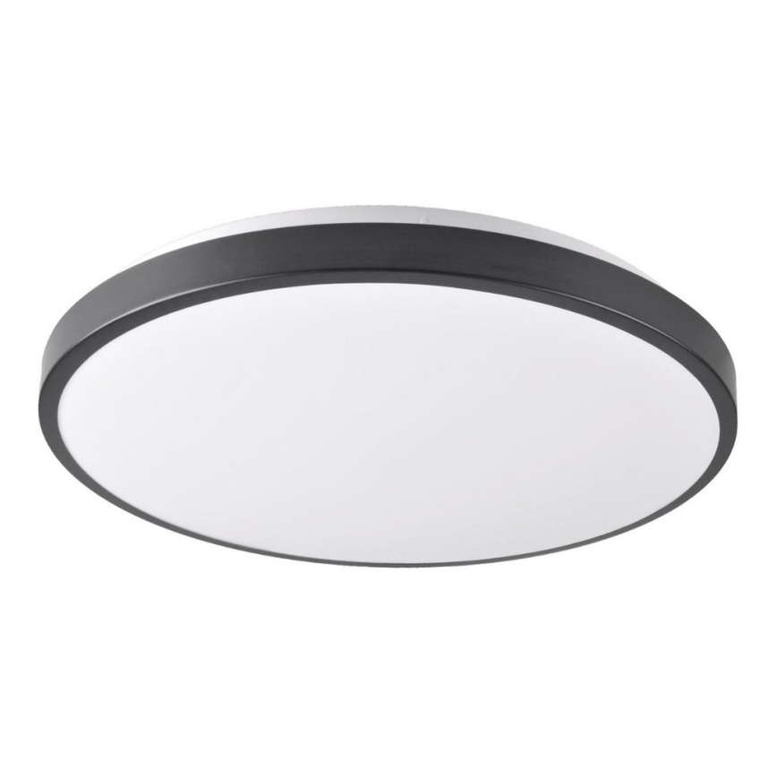 LED Plafondlamp KERN LED/24W/230V zwart