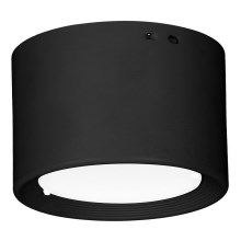 LED Plafondlamp LED/10W/230V zwart diameter 10 cm
