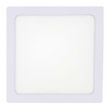 LED Plafondlamp LED/12W/230V 2700K 16,3x16,3 cm wit