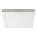 LED Plafondlamp LED/12W/230V 4000K 16,7x16,7 cm wit