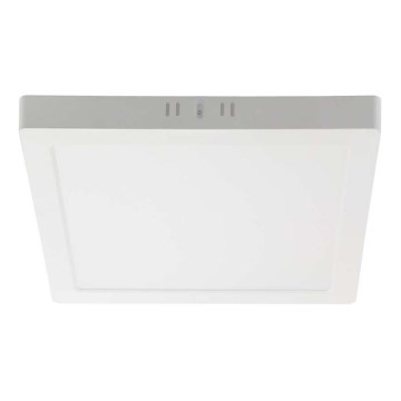 LED Plafondlamp LED/12W/230V 6500K 16,7x16,7 cm wit