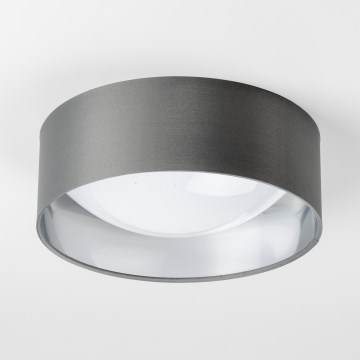 LED-plafondlamp LED/12W/230V Ø 32 cm grijs/zilver