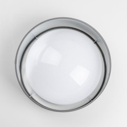 LED-plafondlamp LED/12W/230V Ø 32 cm grijs/zilver