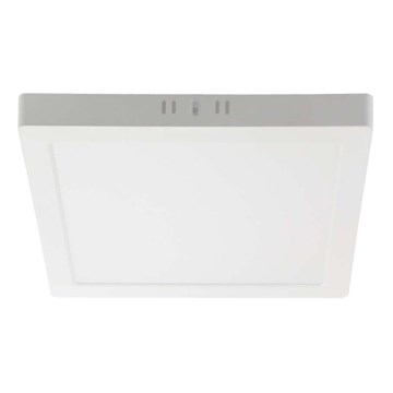 LED Plafondlamp LED/18W/230V 4000K 21,4x,21,4 cm wit