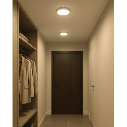 LED Plafondlamp LED/18W/230V 4200K diameter 21 cm wit