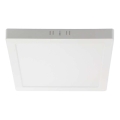 LED Plafondlamp LED/18W/230V 6500K 21,4x21,4 cm wit