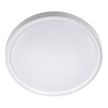 LED Plafondlamp LED/18W/230V diameter 30 cm wit