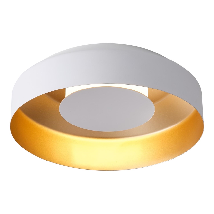 LED Plafondlamp LED/20W/230V 3000K wit