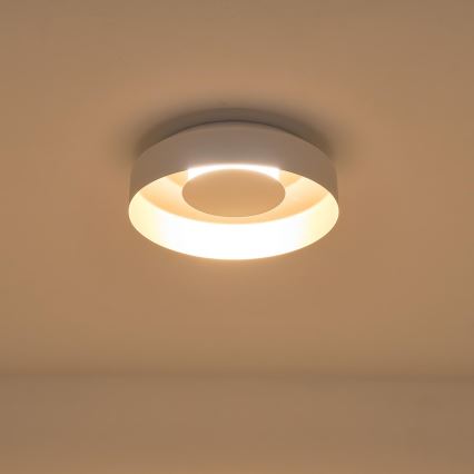 LED Plafondlamp LED/20W/230V 3000K wit