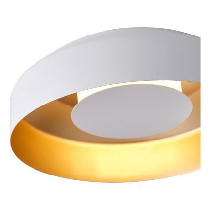 LED Plafondlamp LED/20W/230V 3000K wit