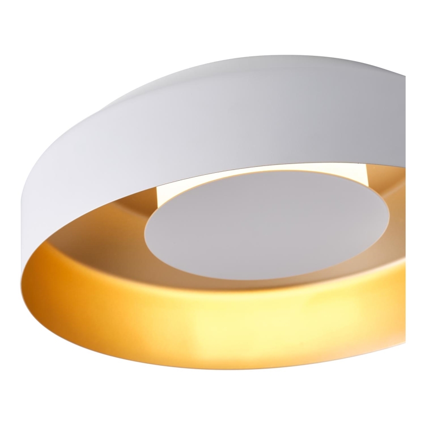 LED Plafondlamp LED/20W/230V 3000K wit