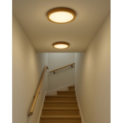 LED plafondlamp LED/24W/230V 3000/4000/6500K Ø 30 cm beige