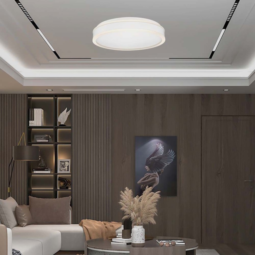LED Plafondlamp LED/24W/230V 4000K wit