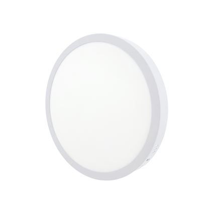 LED Plafondlamp LED/24W/230V 4200K diameter 28,5 cm wit