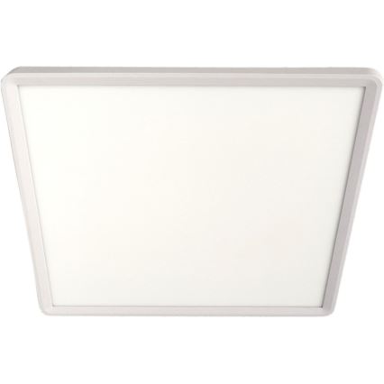 LED plafondlamp LED/32W/230V 3000/4000/6500K 40x40 cm wit