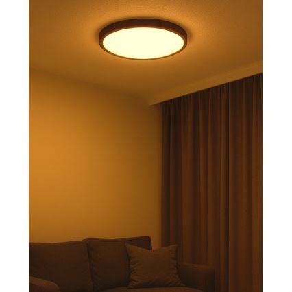 LED plafondlamp LED/40W/230V 3000/4000/6500K Ø 50 cm bruin