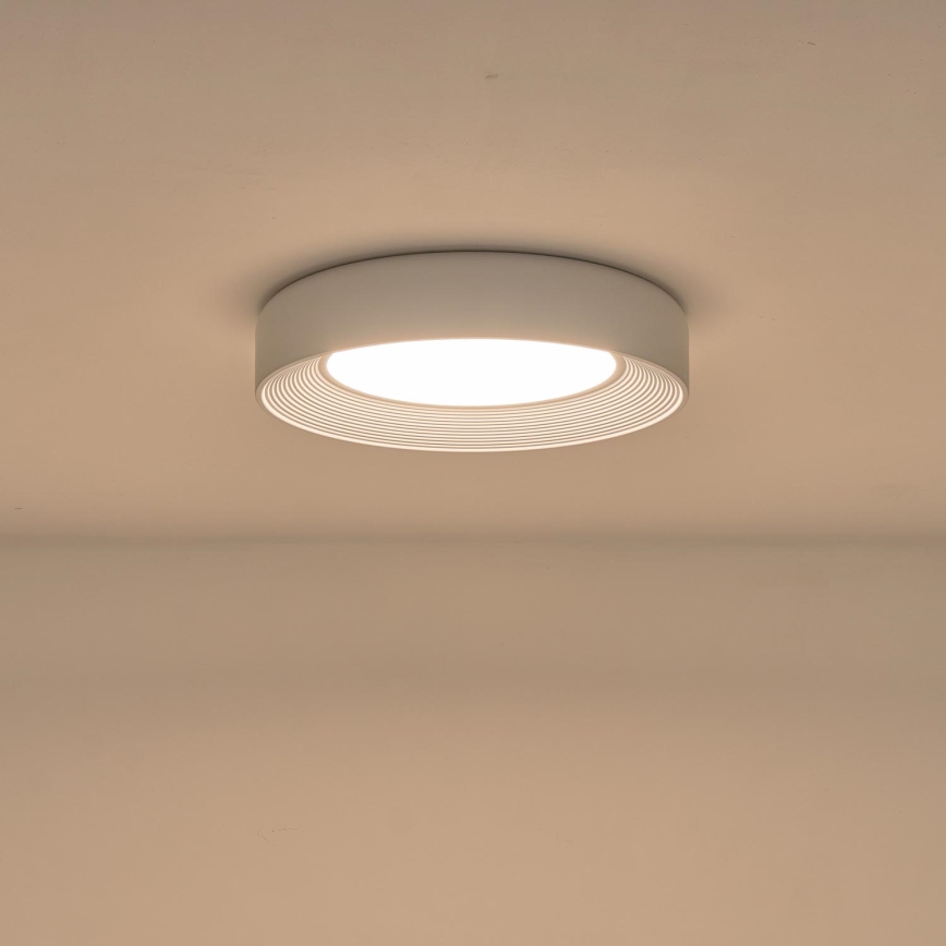 LED Plafondlamp LED/40W/230V 3000K wit diameter 50 cm