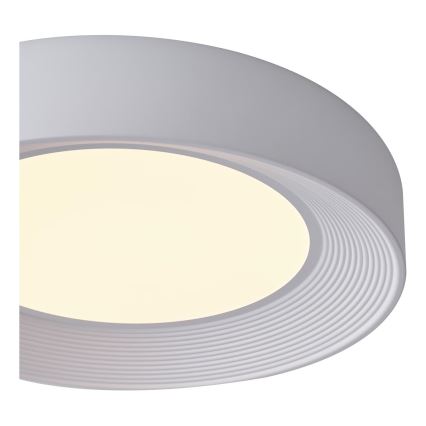 LED Plafondlamp LED/40W/230V 3000K wit diameter 50 cm