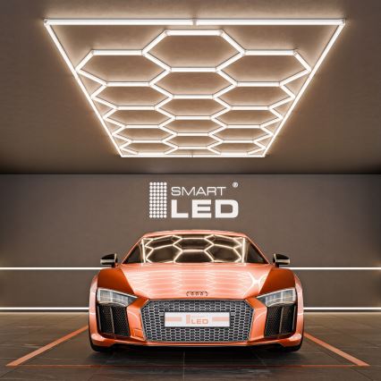 LED plafondlamp HEXAGON LED/696W/85-265V 4000K 484x243 cm CRI 90 IP44 wit