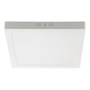 LED Plafondlamp LED/6W/230V 3000K 12x12 cm wit