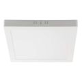 LED Plafondlamp LED/6W/230V 4000K 12x12 cm wit