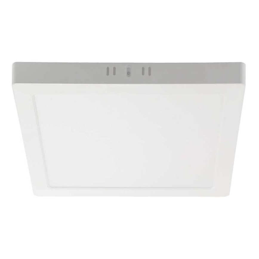LED Plafondlamp LED/6W/230V 4000K 12x12 cm wit