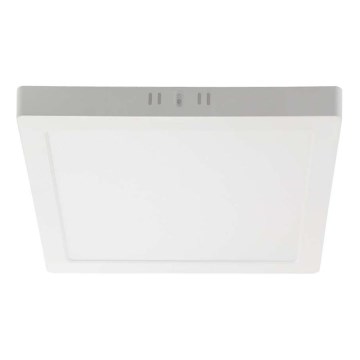 LED Plafondlamp LED/6W/230V 6500K 12x12 cm wit