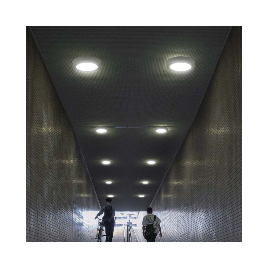 LED Plafondlamp LED/6W/230V 6500K wit