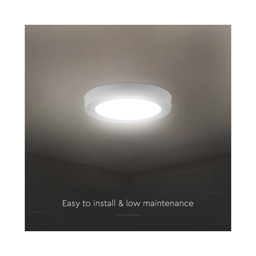 LED Plafondlamp LED/6W/230V 6500K wit