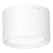LED Plafondlamp LED/6W/230V wit diameter 8 cm