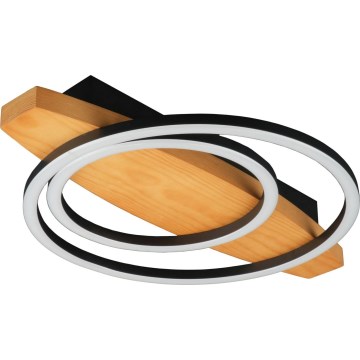 LED-plafondlamp MELISA, 28 W, 230 V, 30 x 40 cm, grenen