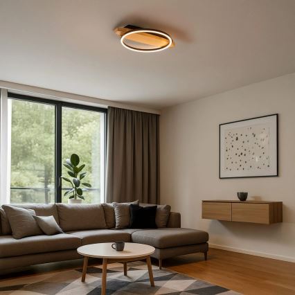 LED-plafondlamp MELISA LED/12W/230V 30x40 cm van dennenhout