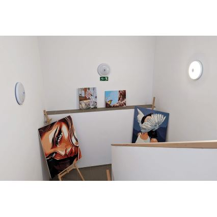 LED-plafondlamp met bewegings- en schemersensor LED/20W/230V Ø 29 cm wit