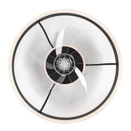 LED Dimbare plafondlamp met ventilator APOLLO LED/38W/230V zwart + afstandsbediening