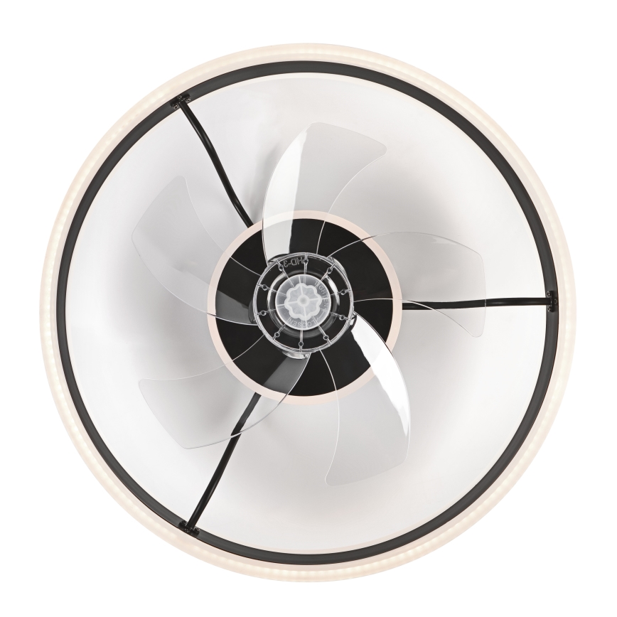 LED Dimbare plafondlamp met ventilator APOLLO LED/38W/230V zwart + afstandsbediening