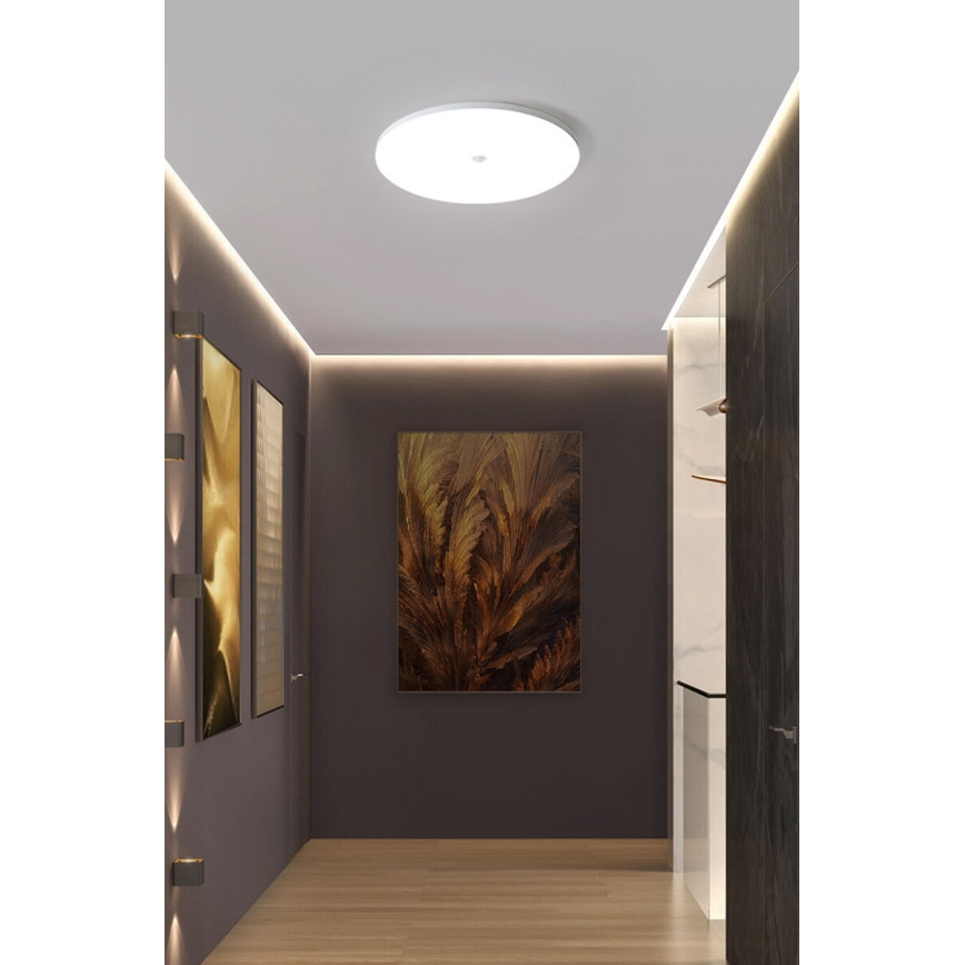 LED-plafondlamp met schemer- en bewegingssensor MORETTI LED/24W/230V pr. 30 cm IP40 6500K