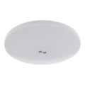 LED-plafondlamp met schemer- en bewegingssensor MORETTI LED/24W/230V pr. 30 cm IP40 6500K