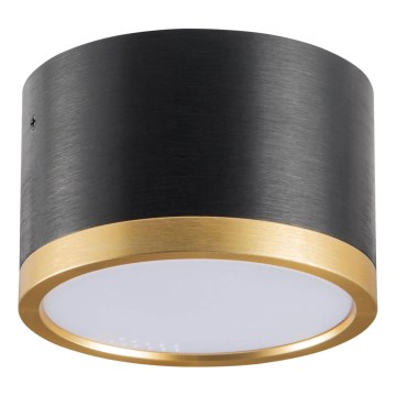 LED Plafondlamp MIRELLA 1xGX53/6W/230V zwart/goud