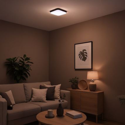 LED plafondlamp NEMO LED/11W/230V 26x26 cm zwart