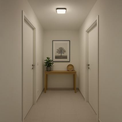 LED plafondlamp NEMO LED/11W/230V 26x26 cm zwart