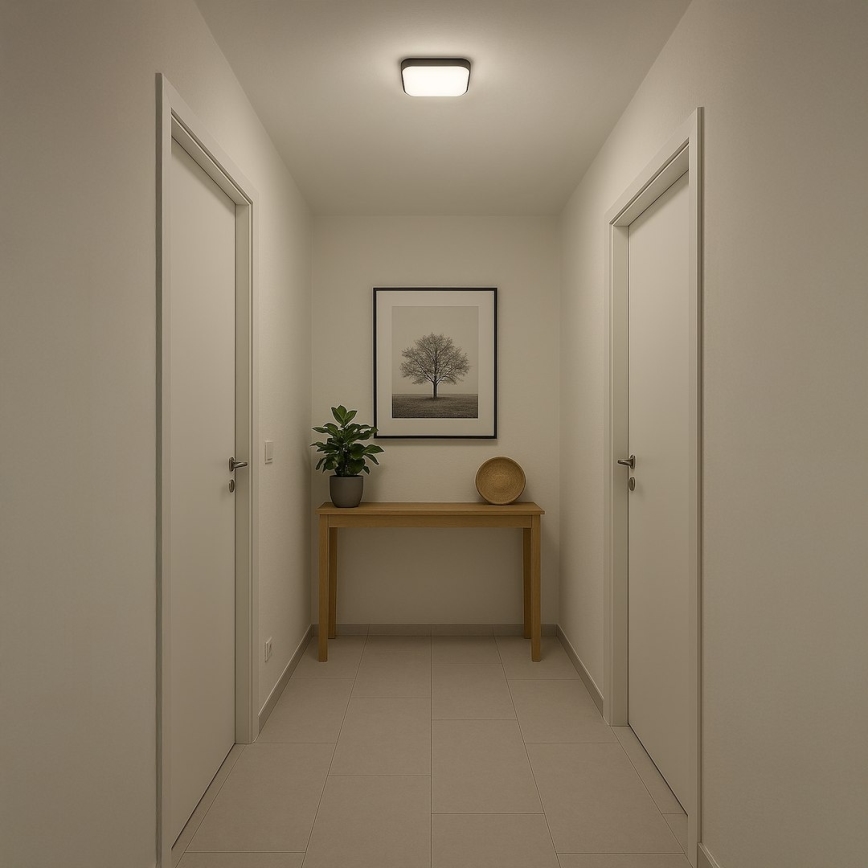 LED plafondlamp NEMO LED/11W/230V 26x26 cm zwart